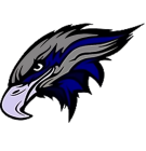 Youngstown Knighthawks